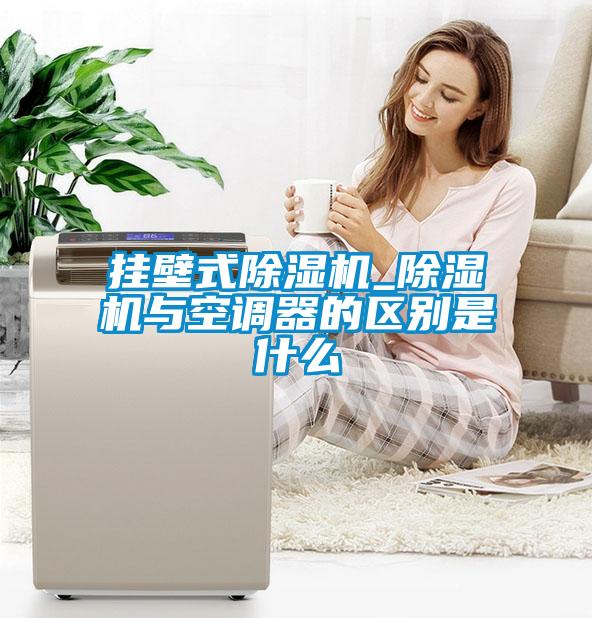 掛壁式除濕機(jī)_除濕機(jī)與空調(diào)器的區(qū)別是什么