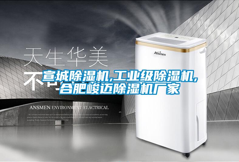 宣城除濕機,工業級除濕機,合肥峻邁除濕機廠家