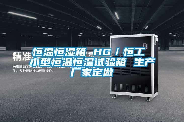 恒溫恒濕箱 HG／恒工 小型恒溫恒濕試驗(yàn)箱 生產(chǎn)廠家定做