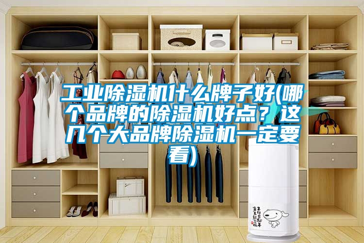 工業除濕機什么牌子好(哪個品牌的除濕機好點？這幾個大品牌除濕機一定要看)