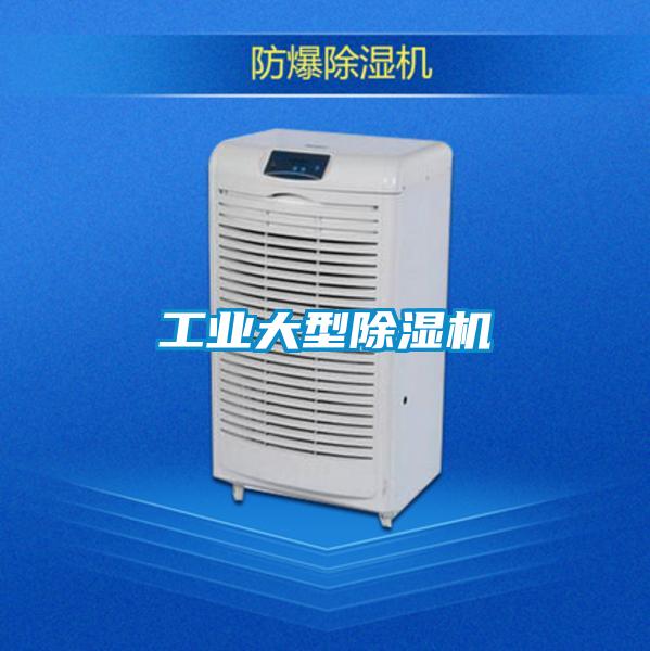 工業(yè)大型除濕機(jī)