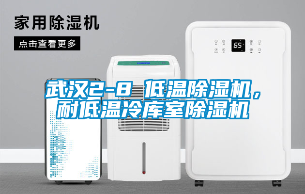 武漢2-8℃低溫除濕機，耐低溫冷庫室除濕機