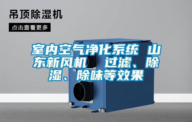 室內(nèi)空氣凈化系統(tǒng) 山東新風(fēng)機(jī)  過濾、除濕、除味等效果