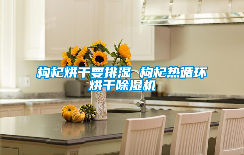 枸杞烘干要排濕 枸杞熱循環烘干除濕機