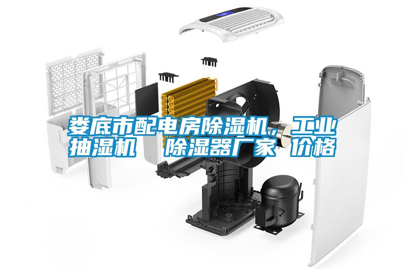 婁底市配電房除濕機(jī)，工業(yè)抽濕機(jī)  除濕器廠家 價格