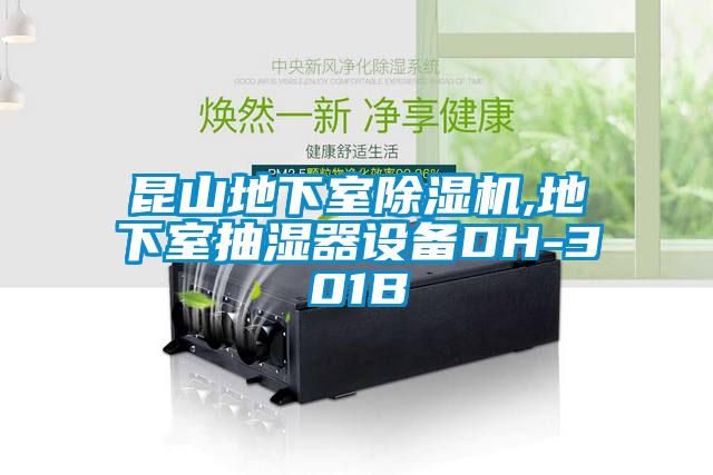 昆山地下室除濕機(jī),地下室抽濕器設(shè)備DH-301B
