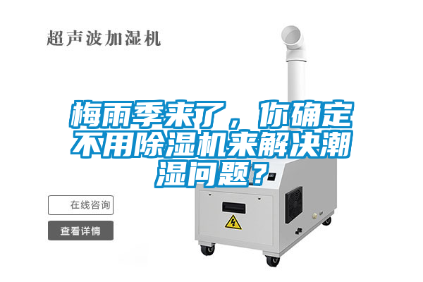 梅雨季來了，你確定不用除濕機來解決潮濕問題？