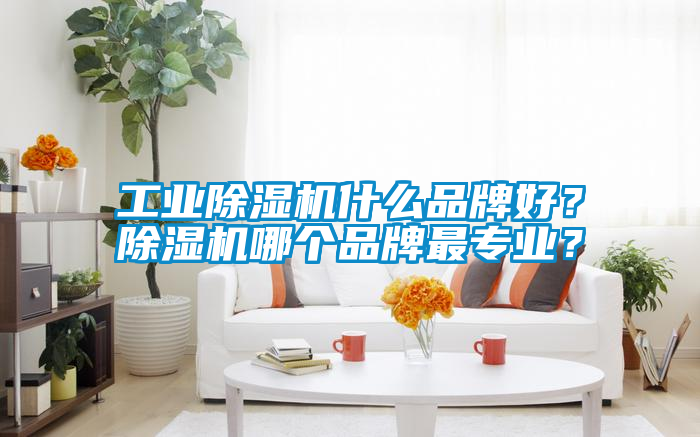 工業(yè)除濕機(jī)什么品牌好？除濕機(jī)哪個(gè)品牌最專業(yè)？