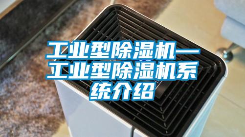 工業(yè)型除濕機(jī)—工業(yè)型除濕機(jī)系統(tǒng)介紹