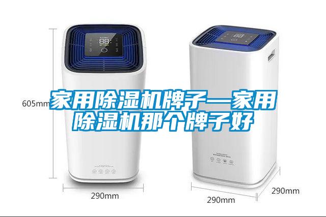 家用除濕機(jī)牌子—家用除濕機(jī)那個牌子好