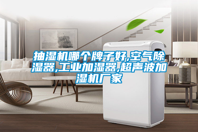 抽濕機(jī)哪個(gè)牌子好,空氣除濕器,工業(yè)加濕器,超聲波加濕機(jī)廠家