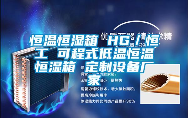 恒溫恒濕箱 HG／恒工 可程式低溫恒溫恒濕箱 定制設備廠家