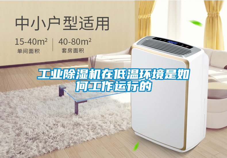 工業(yè)除濕機(jī)在低溫環(huán)境是如何工作運(yùn)行的