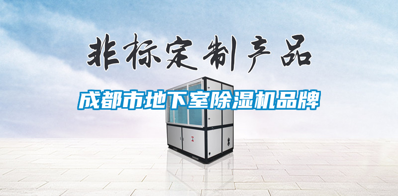 成都市地下室除濕機(jī)品牌