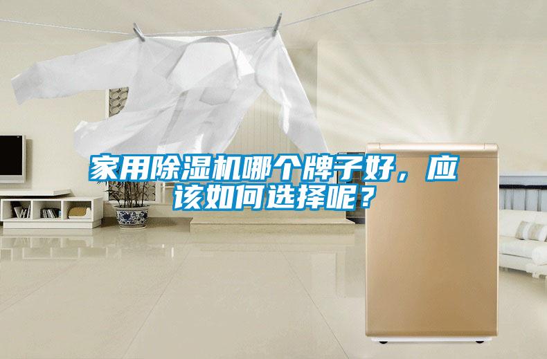 家用除濕機哪個牌子好，應該如何選擇呢？