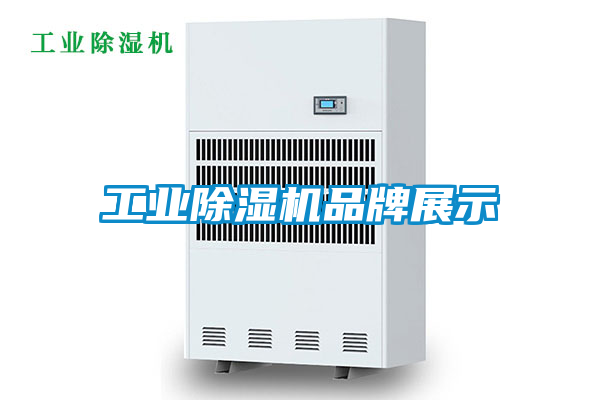 工業(yè)除濕機(jī)品牌展示