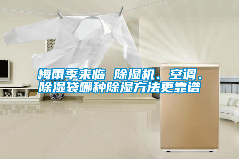 梅雨季來(lái)臨 除濕機(jī)、空調(diào)、除濕袋哪種除濕方法更靠譜