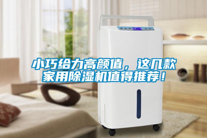 小巧給力高顏值，這幾款家用除濕機值得推薦！