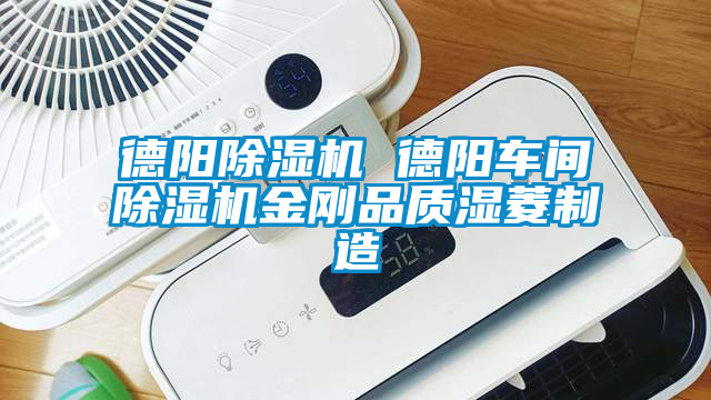 德陽除濕機 德陽車間除濕機金剛品質濕菱制造
