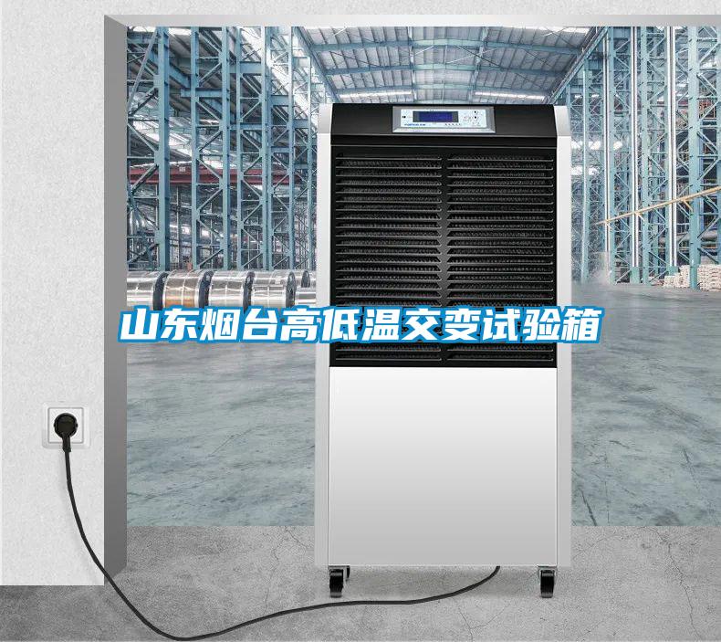 山東煙臺高低溫交變試驗箱
