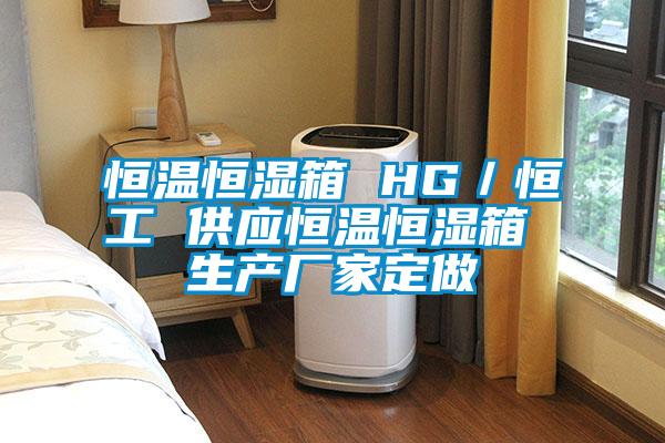 恒溫恒濕箱 HG／恒工 供應(yīng)恒溫恒濕箱 生產(chǎn)廠家定做