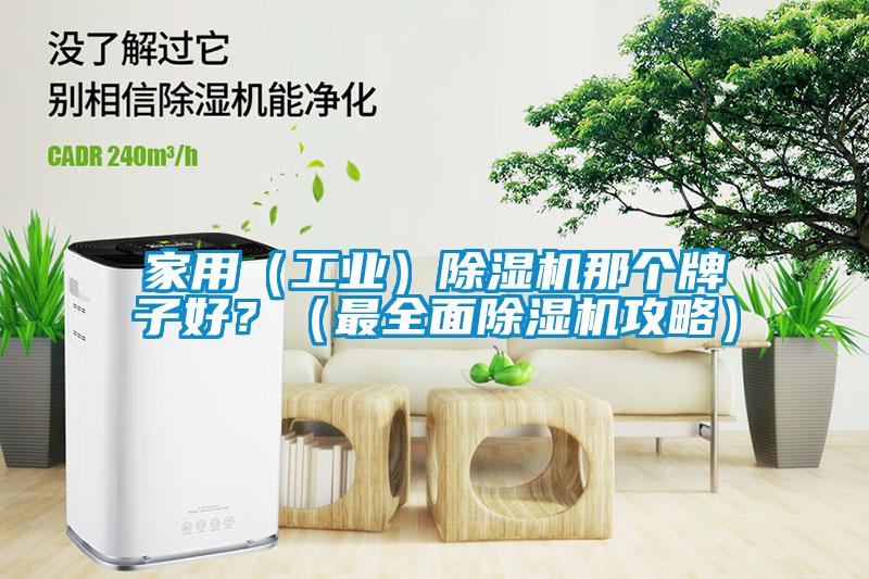 家用（工業）除濕機那個牌子好？（最全面除濕機攻略）