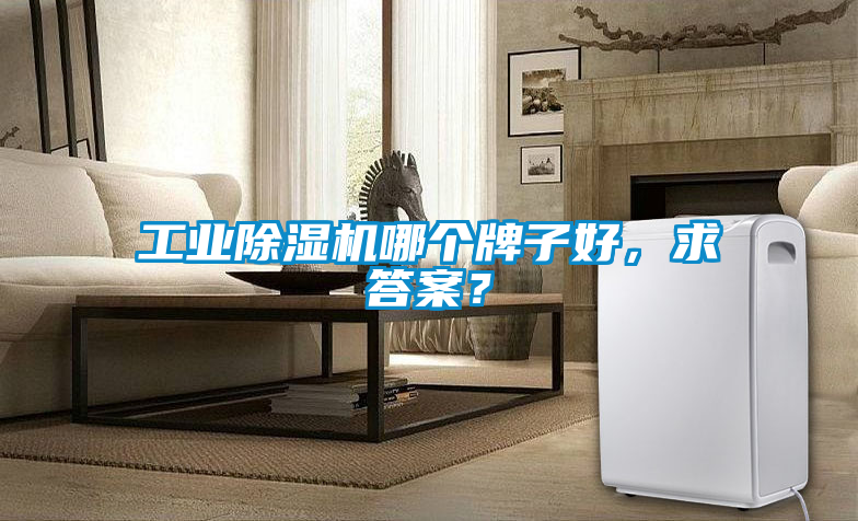 工業(yè)除濕機(jī)哪個(gè)牌子好，求答案？