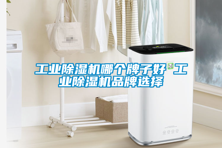 工業(yè)除濕機(jī)哪個牌子好 工業(yè)除濕機(jī)品牌選擇
