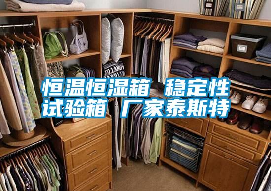 恒溫恒濕箱 穩(wěn)定性試驗箱 廠家泰斯特