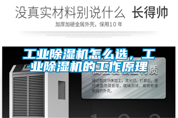 工業(yè)除濕機(jī)怎么選，工業(yè)除濕機(jī)的工作原理