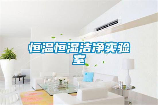 恒溫恒濕潔凈實(shí)驗(yàn)室