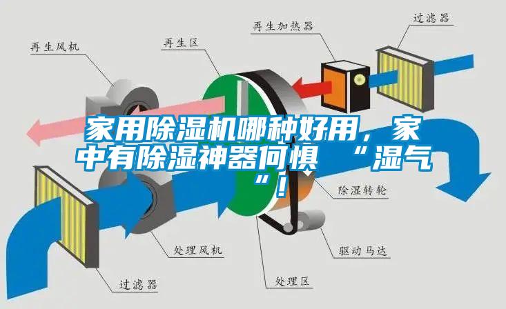 家用除濕機(jī)哪種好用，家中有除濕神器何懼 “濕氣 “！
