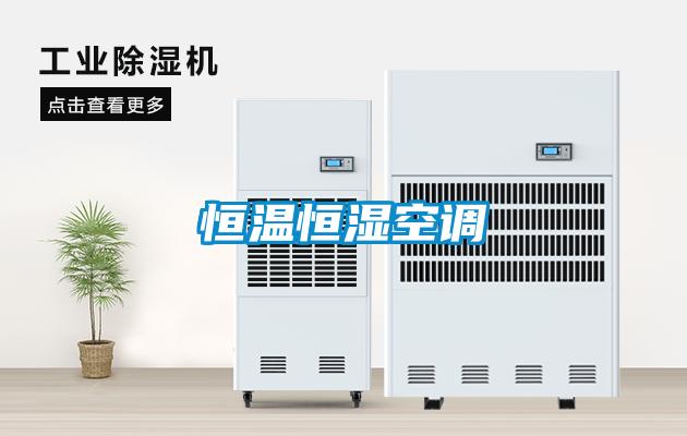 恒溫恒濕空調(diào)