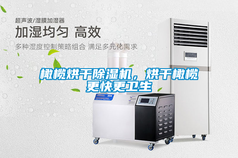 橄欖烘干除濕機，烘干橄欖更快更衛生