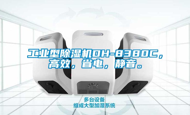 工業(yè)型除濕機DH-8380C，高效，省電，靜音。