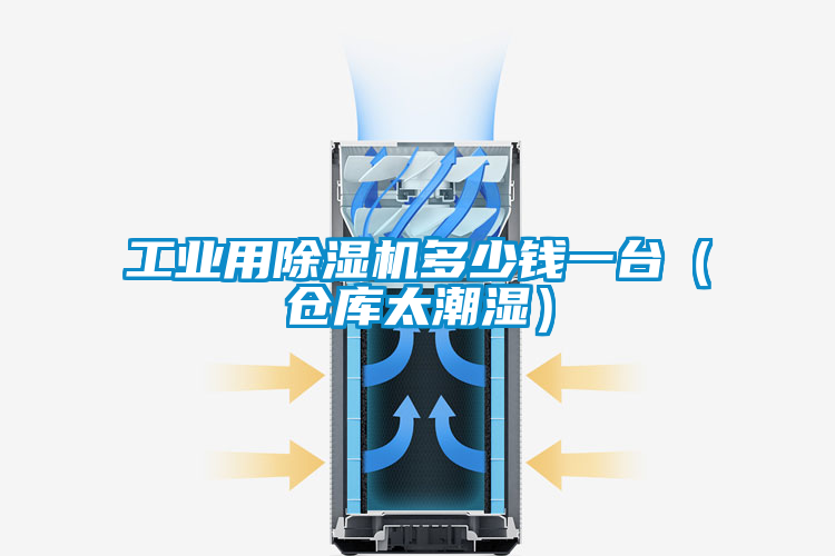 工業(yè)用除濕機(jī)多少錢一臺（倉庫太潮濕）