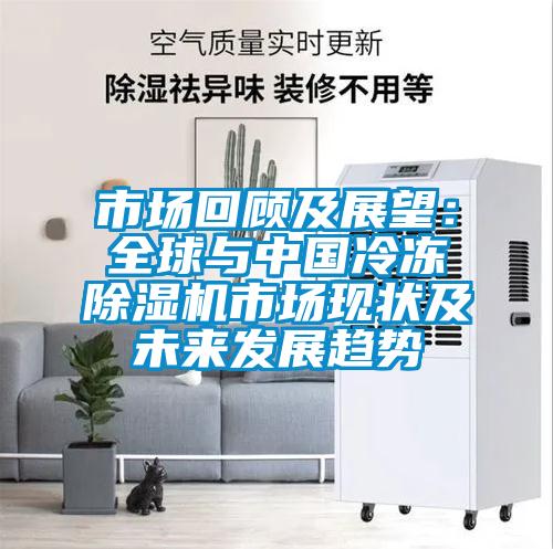市場(chǎng)回顧及展望：全球與中國(guó)冷凍除濕機(jī)市場(chǎng)現(xiàn)狀及未來發(fā)展趨勢(shì)