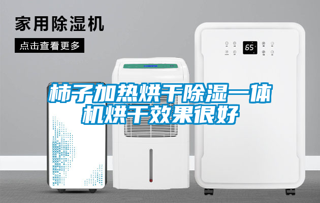 柿子加熱烘干除濕一體機(jī)烘干效果很好