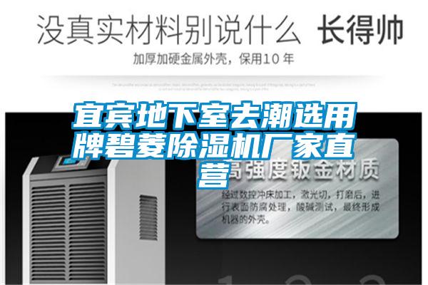 宜賓地下室去潮選用牌碧菱除濕機(jī)廠家直營(yíng)