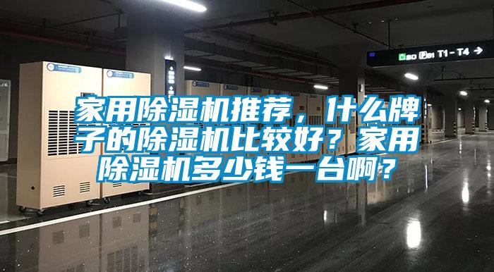 家用除濕機推薦，什么牌子的除濕機比較好？家用除濕機多少錢一臺啊？