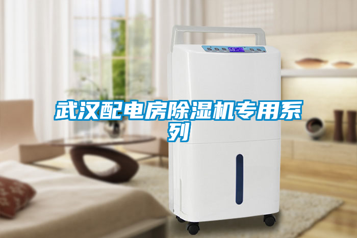 武漢配電房除濕機(jī)專(zhuān)用系列