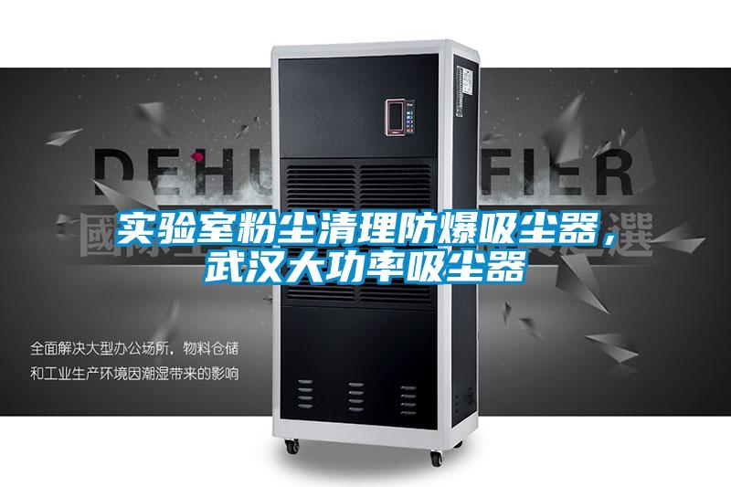 實驗室粉塵清理防爆吸塵器，武漢大功率吸塵器