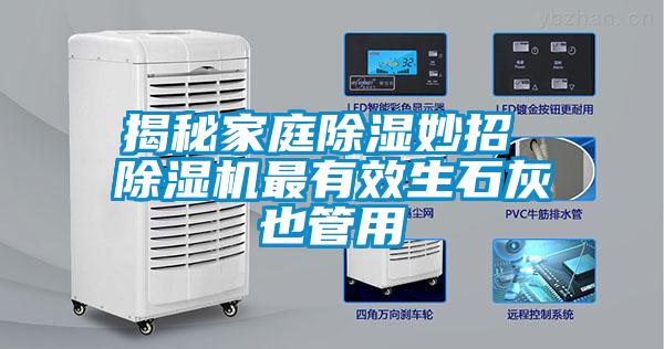 揭秘家庭除濕妙招 除濕機(jī)最有效生石灰也管用