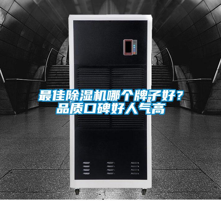 最佳除濕機(jī)哪個(gè)牌子好？品質(zhì)口碑好人氣高