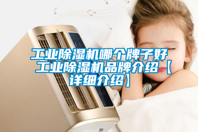 工業(yè)除濕機(jī)哪個牌子好 工業(yè)除濕機(jī)品牌介紹【詳細(xì)介紹】