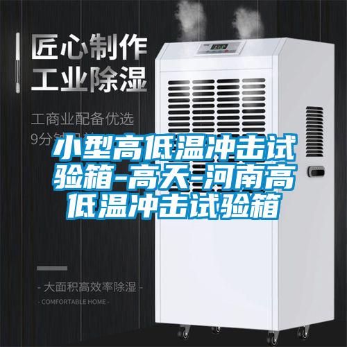 小型高低溫沖擊試驗(yàn)箱-高天-河南高低溫沖擊試驗(yàn)箱