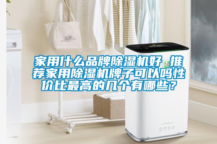 家用什么品牌除濕機好 推薦家用除濕機牌子可以嗎性價比最高的幾個有哪些？