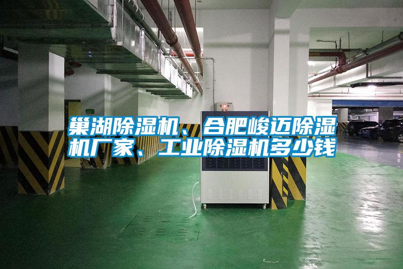 巢湖除濕機(jī)、合肥峻邁除濕機(jī)廠家、工業(yè)除濕機(jī)多少錢