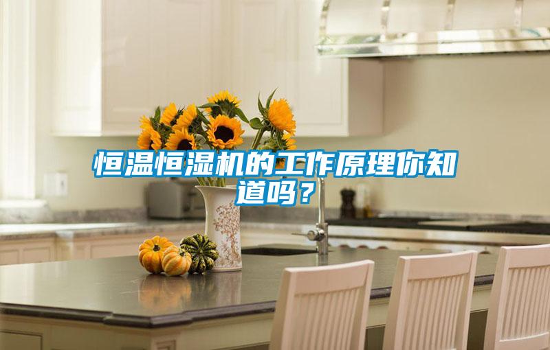 恒溫恒濕機的工作原理你知道嗎？