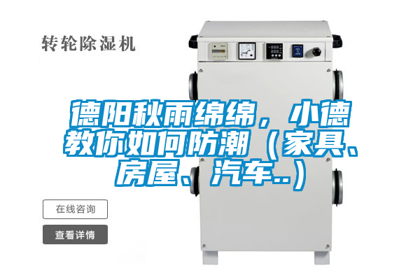 德陽秋雨綿綿，小德教你如何防潮（家具、房屋、汽車..）